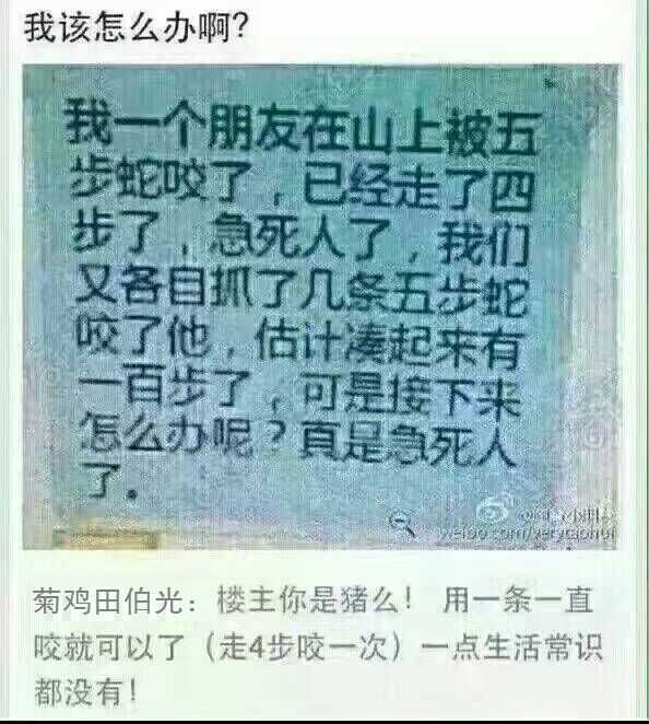 有哪些差点让人笑死的笑话推荐?