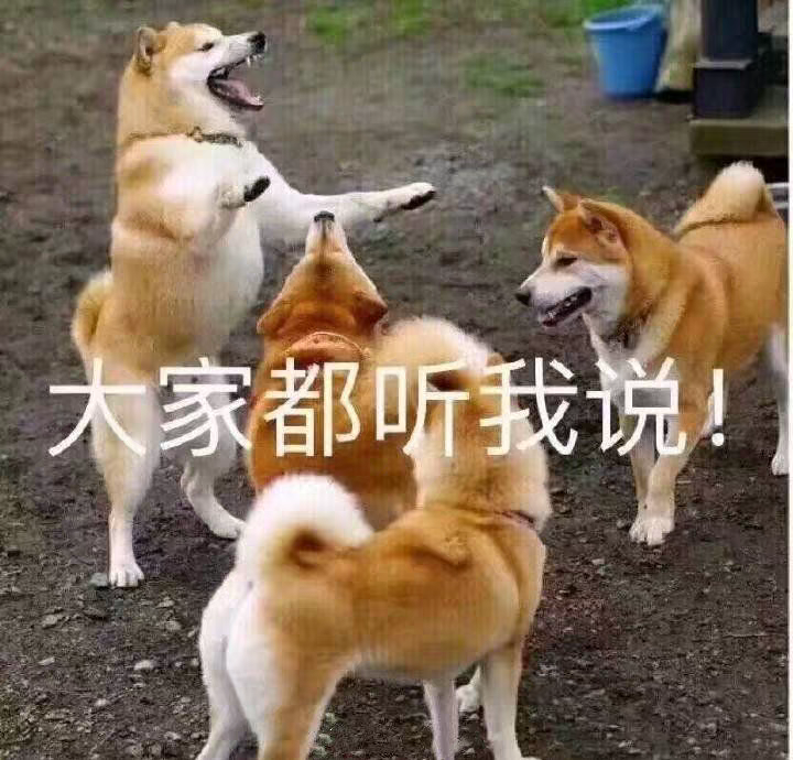 你们有哪些可爱的狗狗表情包吗?
