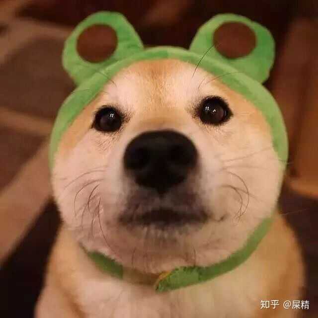 有哪些沙雕又可爱的头像?(重点在沙雕)?