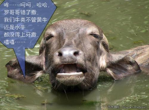 形成的一个齿垫,依靠角质和下颚的牙齿摩擦来咀嚼粉碎吃进去的草料