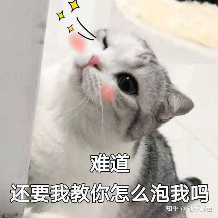 有没有小可爱有这种猫咪的其它头像呢?