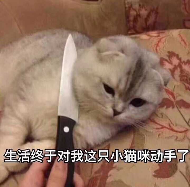 拍抖音的人都是哪些人?