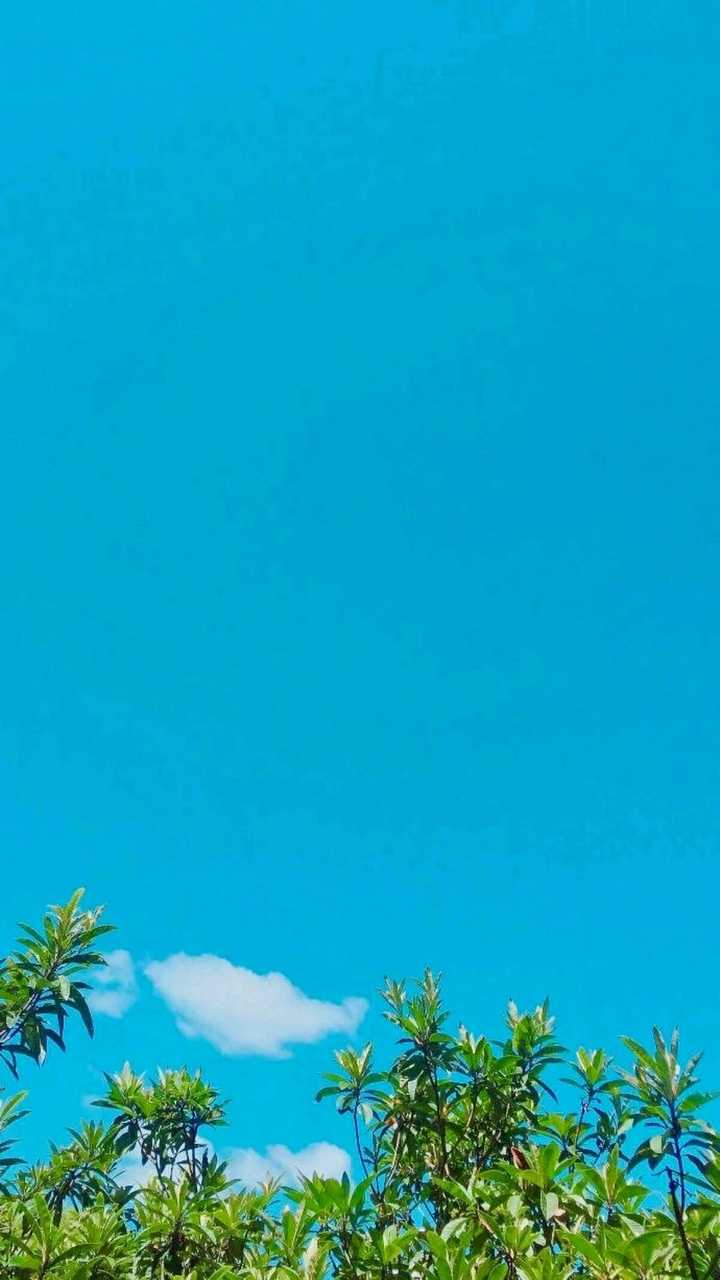 有没有什么好看的日漫风景手机壁纸图片?