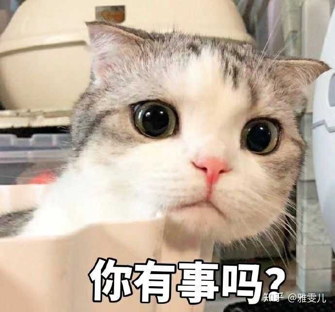 咳咳不请自来 我可是重庆小有名的表情包大佬,小到什么程度呢只有我