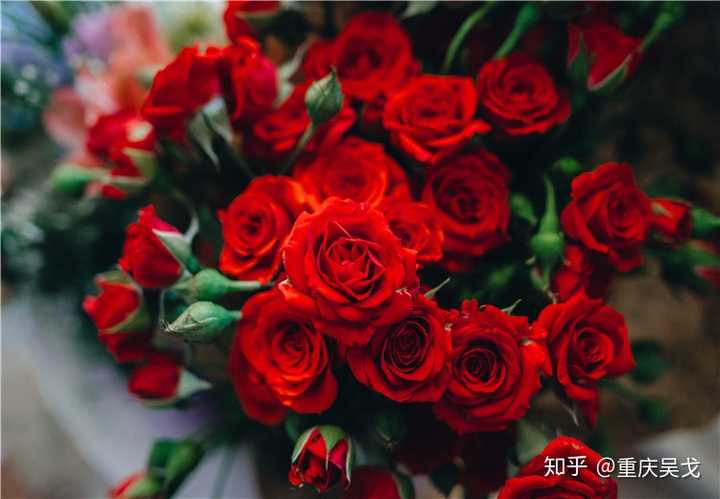 女人生完孩子从产房出来的那一刻,她老公送她一束玫瑰花,女人会很感动