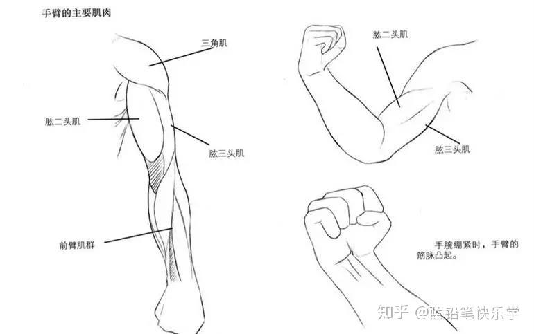 这种人体动态怎么画,尤其是手臂的位置?