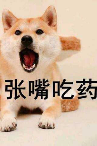 爸爸妈妈做饭不好吃是一个怎样的体验