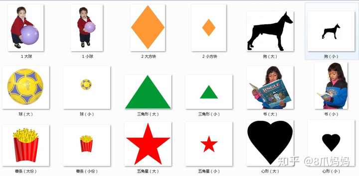 数学概念: 比较物品的大小,说出哪个大,哪个小
