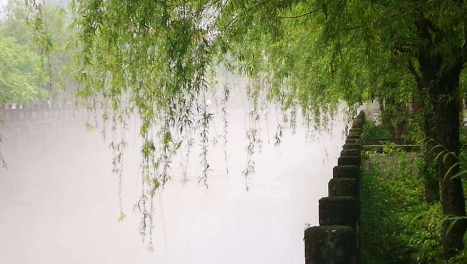 雨天的早晨到处是风景!