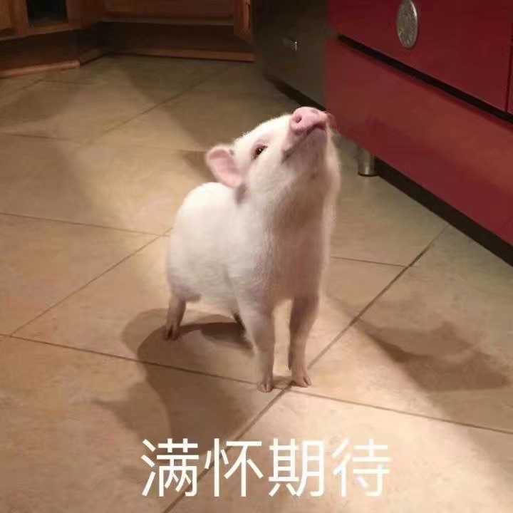 有哪些让人笑到肚子疼的搞笑图片?