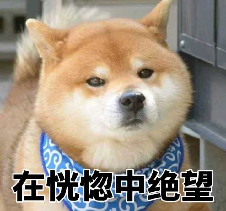 当时看到就惊呆了 看到不点赞我就是这个心情:)