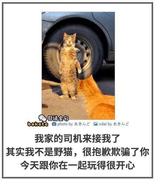 如何把拍的图片以幽默的形式解释?