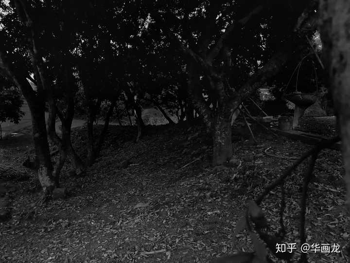 你拍过最恐怖的风景照是哪张?