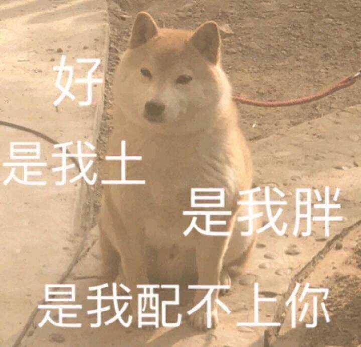 你在微信聊天时,有哪些最喜欢用的沙雕表情包?