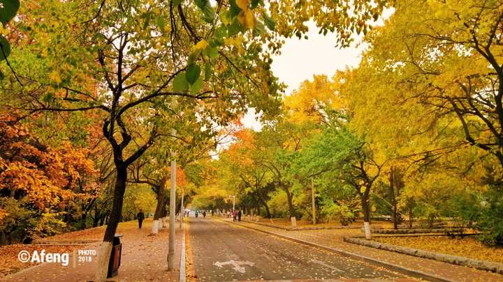 吉林大学南岭校区怎么样,有没有标志建筑物大楼的照片?