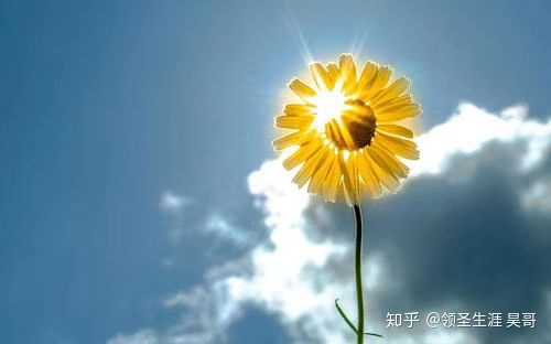 怎样做到在高中里保持一往无前积极向上的学习态度呢?
