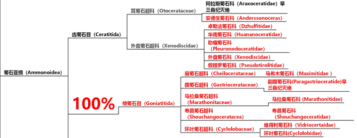 生活到三叠纪的生物中,克氏蛤是早三叠纪的标准化石,而燕海扇在