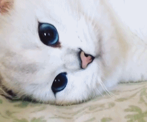 身边有一个嫉妒心很强的人是一种什么体验?