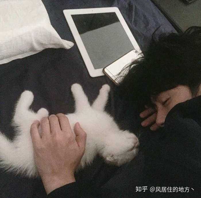 有没有抱猫的男生头像?