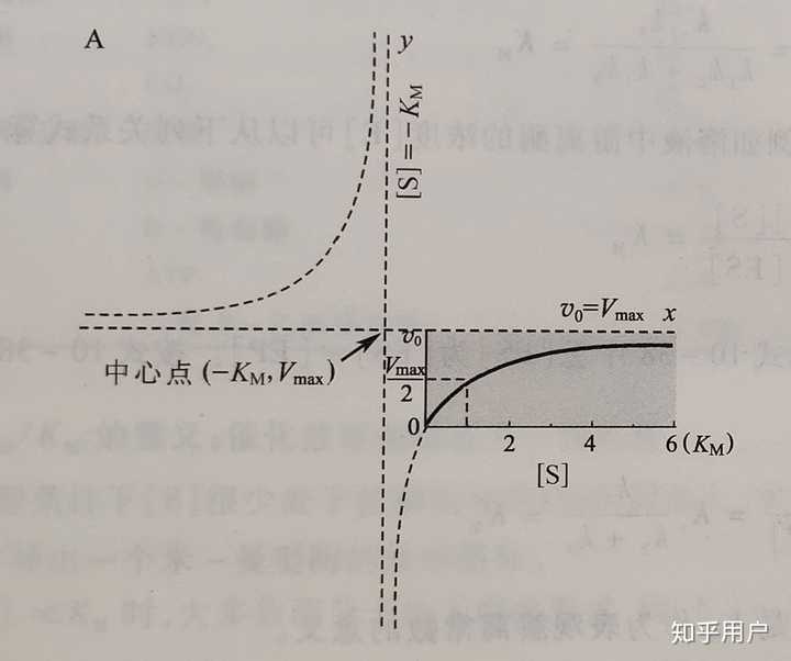 酶促反应速率曲线中提到的「矩形双曲线」究竟是什么?