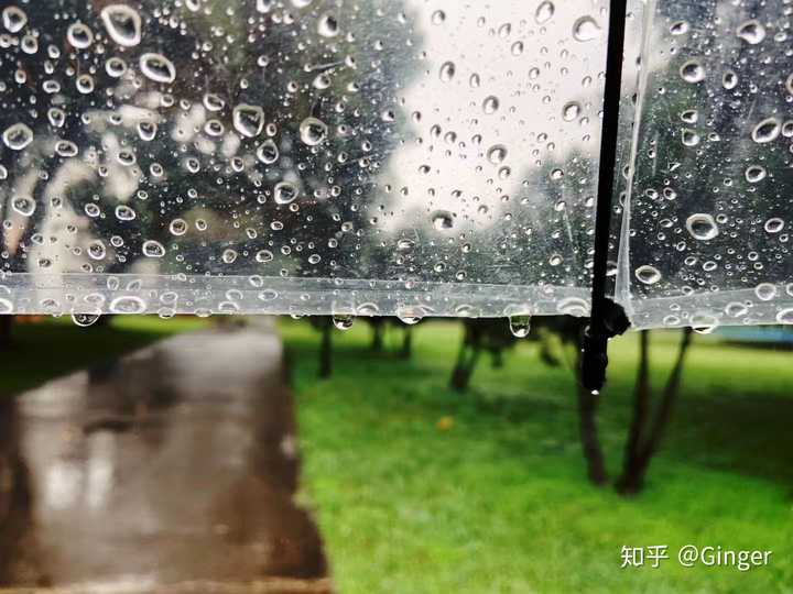 △下雨天和文艺的透明伞更配