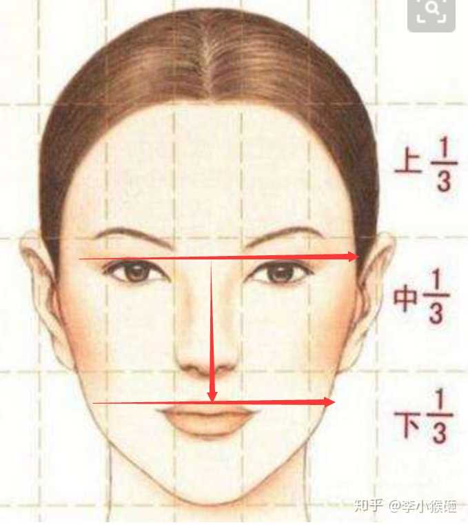 (其实中庭还包括眼睛到眉毛的距离,我之前没算在内,因为眉眼距可以