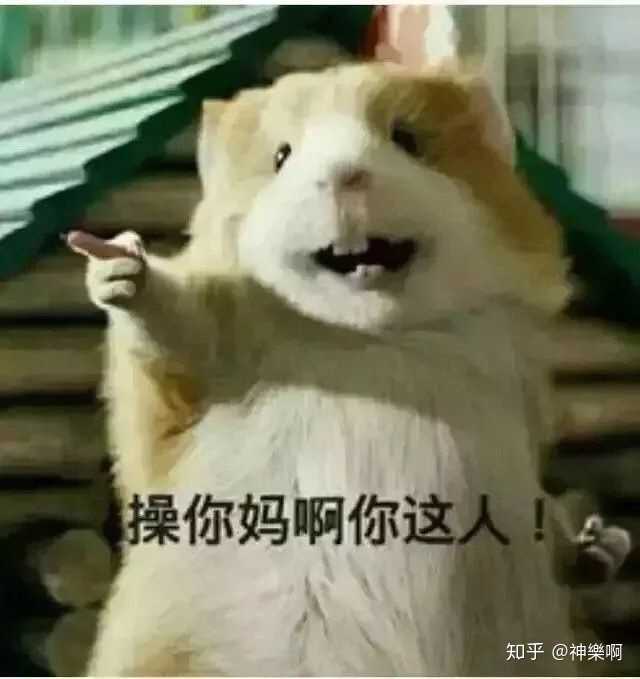 如何避免拍照时成为表情包?