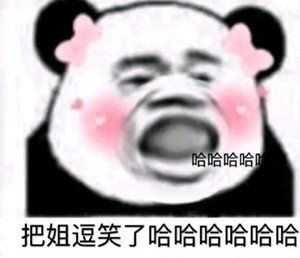 你有哪些看了让你想笑的表情包?