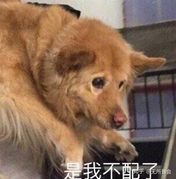 我不配