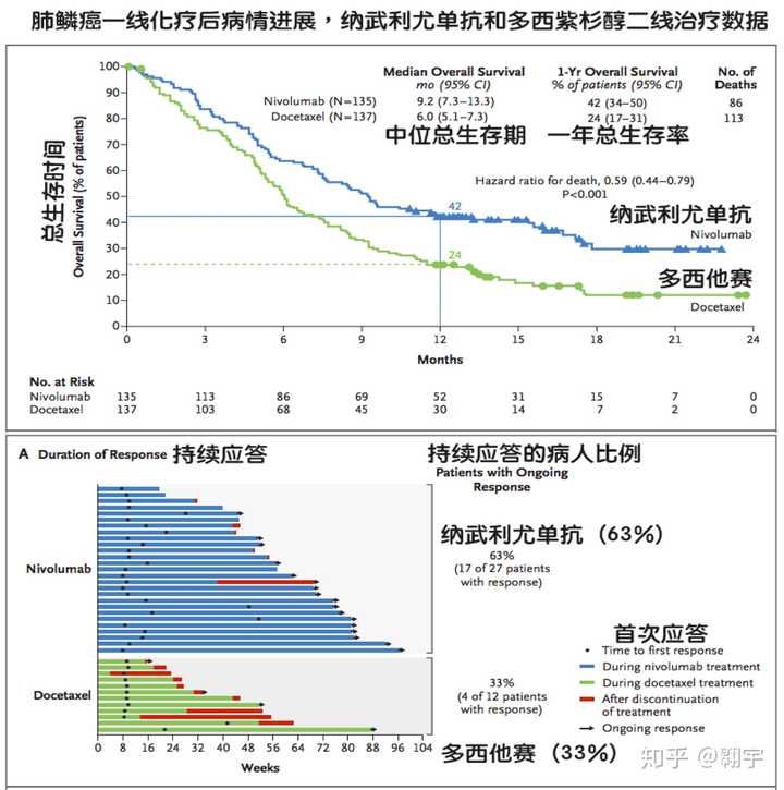 低分化肺鳞癌中晚期,除了化疗还有别的治疗方法吗?