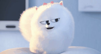 有哪些搞笑的动图/gif表情包?