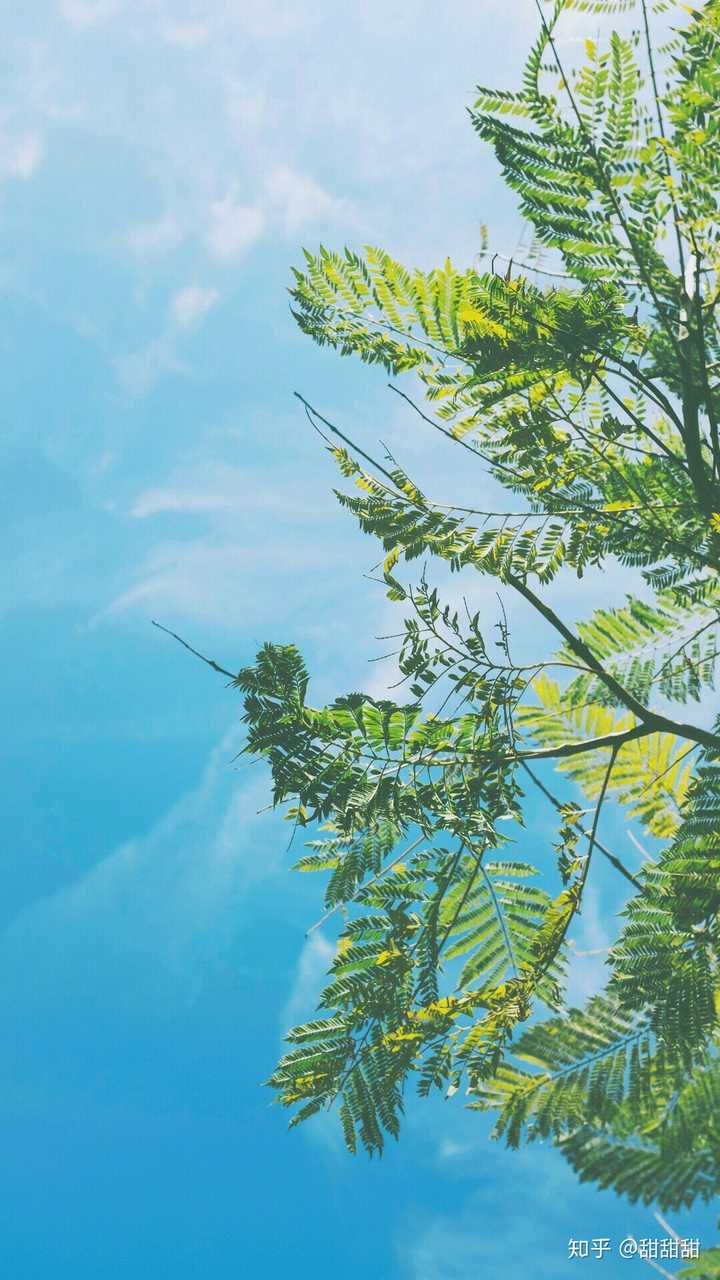夏天到了,有没有看起来很清爽干净的高清壁纸?