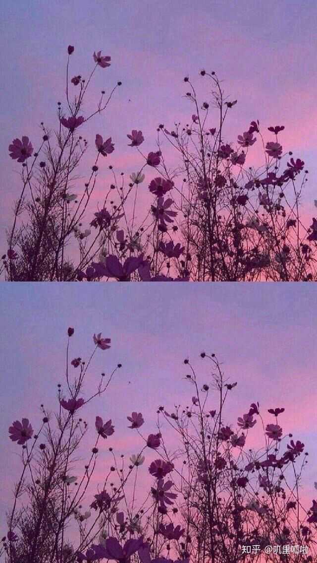 有哪些你不舍得换的手机壁纸?