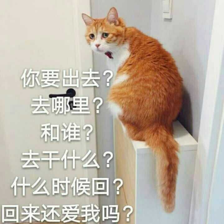 你见过最暖心的表情包是什么?