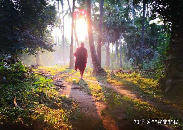 为什么突然就对这个世界很失望?