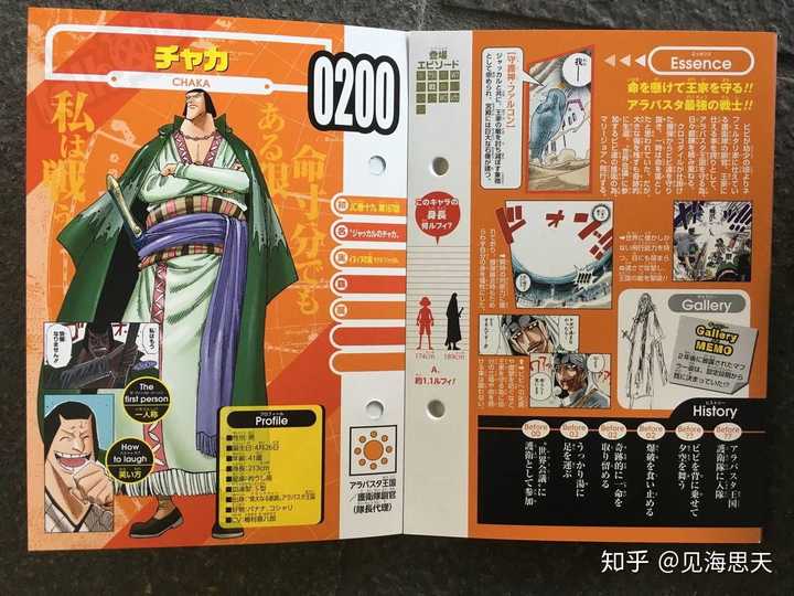 犬犬果实(胡狼形态)