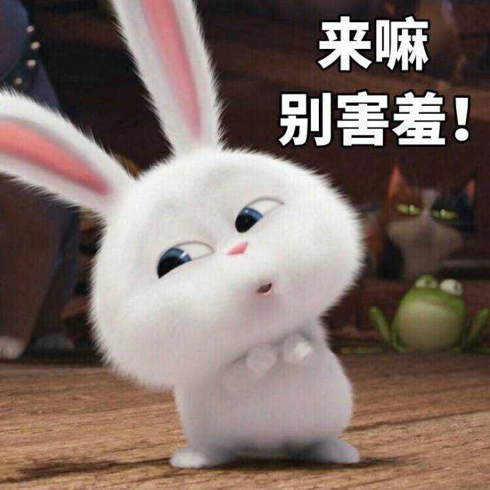 有哪些可作为微信表情包的越看越有趣搞笑动图?