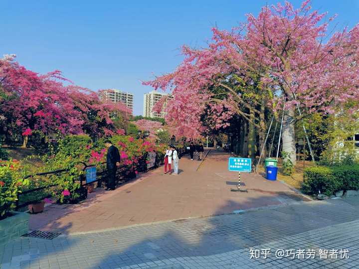 在广州大学华软软件学院就读是怎样一番体验?