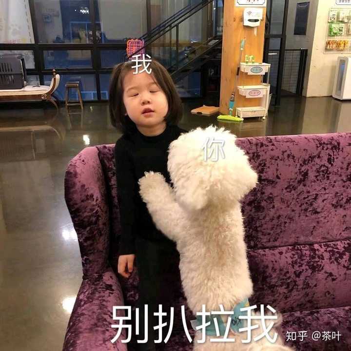 求一波可爱小孩儿的表情包?