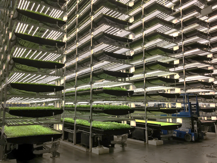 什么是verticalfarming垂直农业