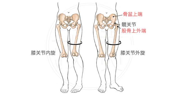 相比于右边的这个屁股来说,他们的区别就是 一个胯的位置是在腰那里