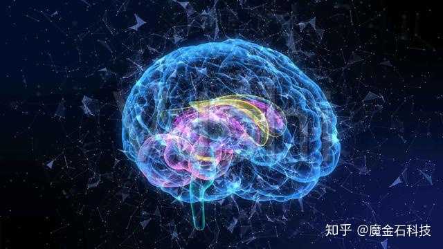 人类大脑结构异常复杂 仅仅10%的大脑开发度已经可以创造出人类世界图片