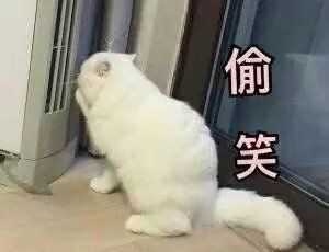 你们有哪些令人捧腹大笑的表情包?