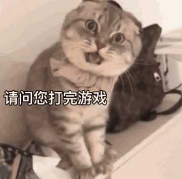 猫猫坏笑的表情包