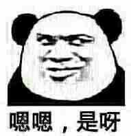 有没有一个万能表情包可以回复所有问题?