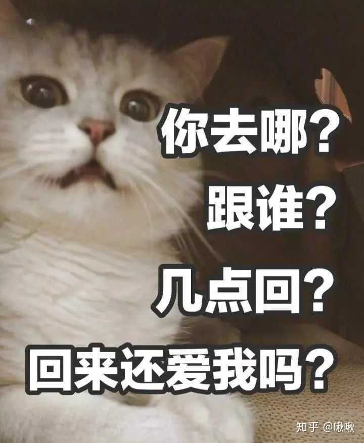 有哪些适合怼男朋友的表情包?