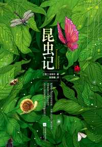 昆虫记