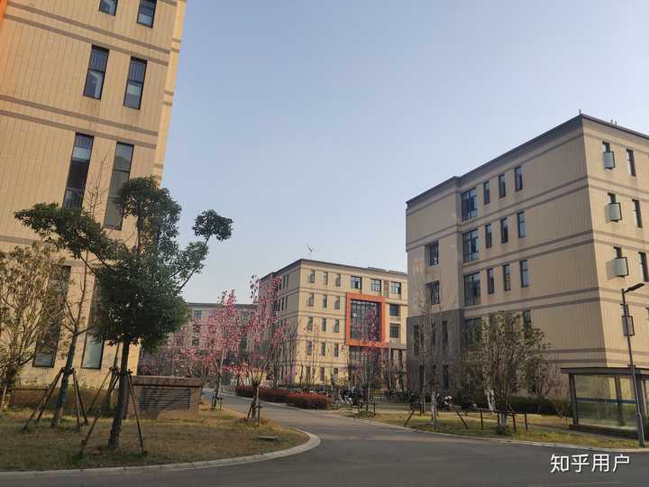 南京邮电大学的校园环境如何?