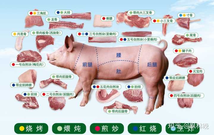 五花肉是猪的哪一块,跟里脊肉比价格怎么样?