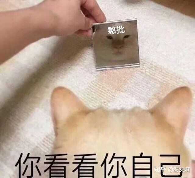 当霸道总裁文里出现沙雕女主,会是怎样的情景?